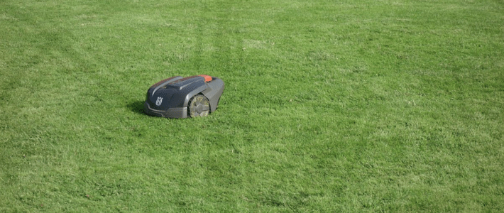 Blog: Weg met de robotgrasmaaier! Blog: Weg met de robotgrasmaaier!